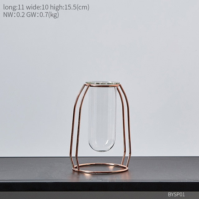 Terrarium Glass Vase