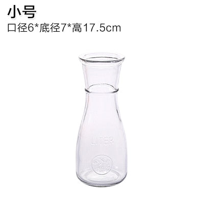 Simple Creative Glass Vase