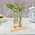 Wood Frame Glass Vase