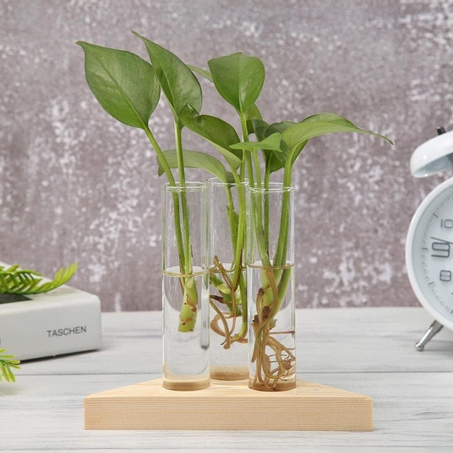 Wood Frame Glass Vase