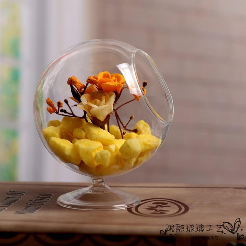 Round Glass Hydroponic Plant Vase