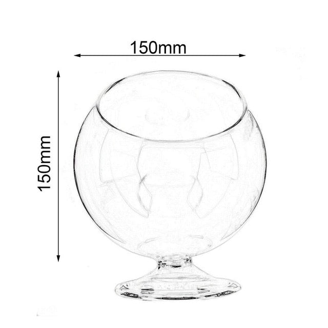 Round Glass Hydroponic Plant Vase
