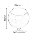 Round Glass Hydroponic Plant Vase